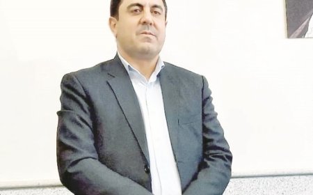 قاضی محمد مهدی انصاری سرپرست محاکم کیفری2 شیراز شد