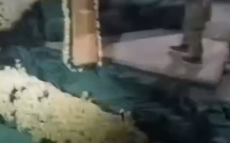 تخریب قبر حافظ اسد در القرداحة