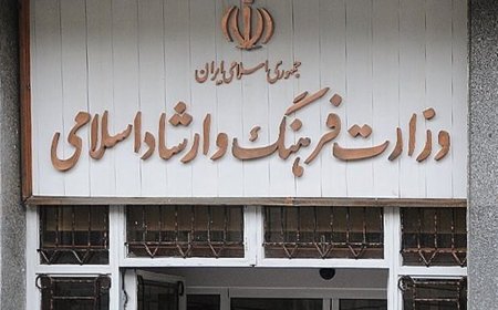 ماجرای لایک شدن «پرستو احمدی» از سوی یک مقام مسئول