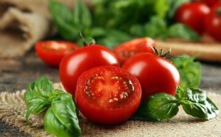 خوردن گوجه فرنگی باعث ابتلا به نقرس می‌شود؟ /ماده غذایی کم پورین یا محرک نقرس؟