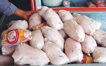 شگرد جدید گرانفروشی مرغ لو رفت