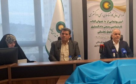 قانون تسهیل ، عامل توزیع ناعادلانه کارشناس رسمی در سطح کشور است