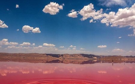 امیدواری برای احیای دریاچه صورتی فارس/طرح مدیریت زیست بومی تالاب مهارلو به تصویب رسید
