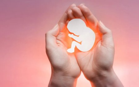 از حرج مادر تا ناهنجاری جنین؛ روایت پزشکی قانونی از مجوزهای شرعی و قانونی سقط