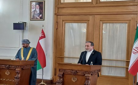 عراقچی: خواهان تشکیل دولتی فراگیر در سوریه هستیم