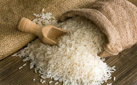 واردکنندگان برنج به دنبال دریافت ارز ترجیحی هستند