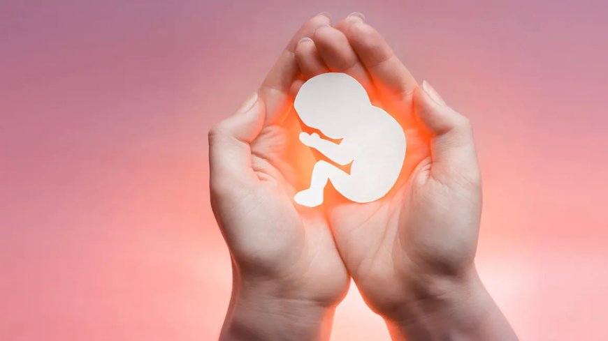 از حرج مادر تا ناهنجاری جنین؛ روایت پزشکی قانونی از مجوزهای شرعی و قانونی سقط