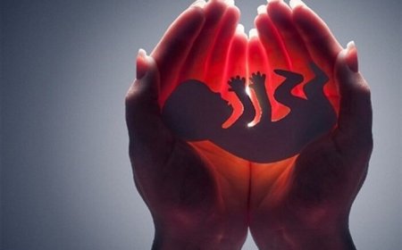 سالانه ۵۰۰ هزار سقط در کشور انجام می‌شود/تغییر نگرش‌ها نسبت به حیات جنین