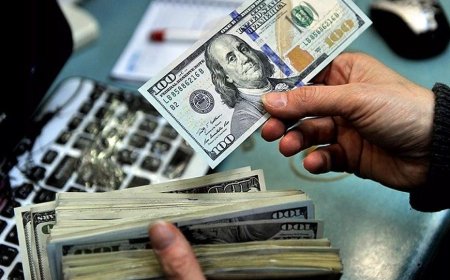 پیش‌بینی یک کارشناس از نرخ ارز / فیاضی: بدون رفع تحریم و کنترل تورم، ارز تک نرخی نمی‌شود