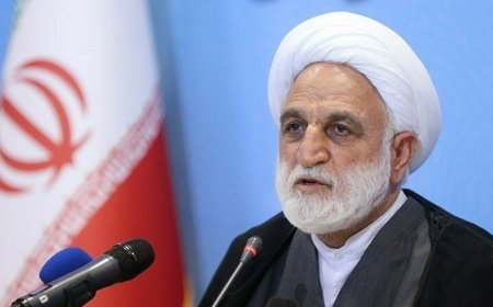 مقدمات آزادی زندانیان واجدشرایط هر چه زودتر فراهم شود