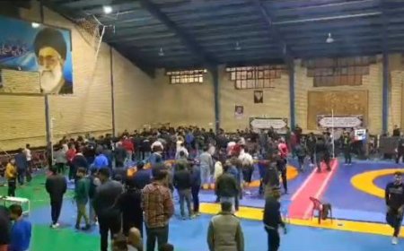 افراد خاطی رقابت‌های کشتی در کوار تعلیق شدند