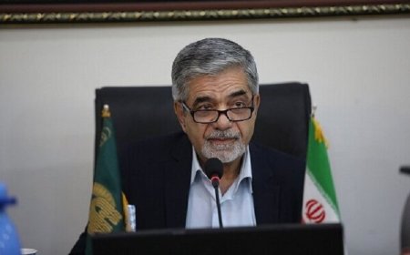 استاد دانشگاه شیراز : برای امیدآفرینی میان جوانان باید افق‌های روشن ترسیم شود