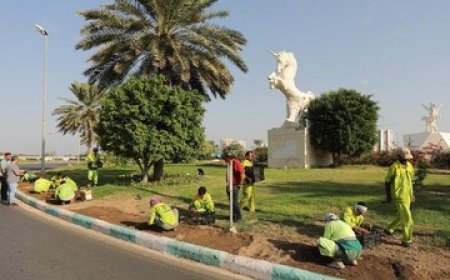 جشن بهار در کیش؛ از نورپردازی تا کاشت گل‌های فصلی و رنگ‌آمیزی گسترده جزیره