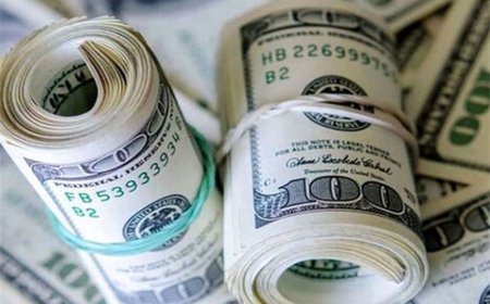 کشف ارز قاچاق توسط پلیس فرودگاه شیراز