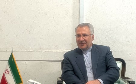 نمایندگی وزارت امور خارجه: فارس در یکسال گذشته  میزبان ۴۷ هیأت خارجی بوده است