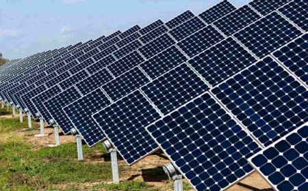 مزایای احداث نیروگاه خورشیدی برای کشاورزان فارس اعلام شد