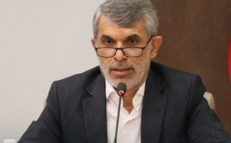 «حسین سعیدی» مجددا مدیرکل گمرکات هرمزگان شد