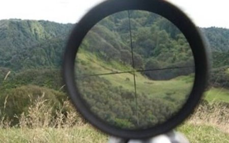 مرگ مشکوک همیار محیط‌بان در منطقه حفاظت شده تنگ بستانک فارس