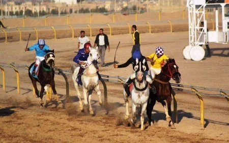 قول مساعد رییس جمهور در خصوص تهاتر تنها پیست سوارکاری اهواز