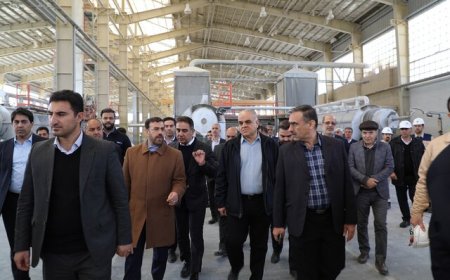 رئیس اتاق بازرگانی فارس تاکید کرد: تلاش برای ارتقای اختیارات مناطق ویژه اقتصادی