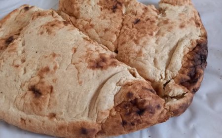 ارتقای کیفیت نان در استان بوشهر ضروری است