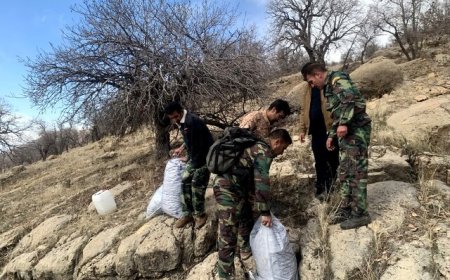 شناسایی و انهدام باند قاچاق زغال در شهرستان بویراحمد