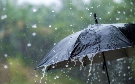 مقادیر بارش در ایستگاه‌های هواشناسی فارس تا ساعت ۶.۵ صبح روز ۸ بهمن ۱۴۰۳