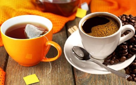 آغاز به کار نمایشگاه قهوه و دمنوش‌ها در فارس