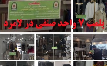 پلمب ۷ واحد صنفی متخلف در لامرد