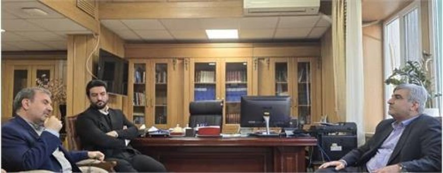 نشست مدیران عامل سازمان های منطقه ویژه پارس و تامین اجتماعی