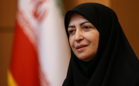 شینا انصاری : گزارشی از وضعیت محیط‌زیستی عسلویه به رییس‌جمهوری ارائه می‌دهیم