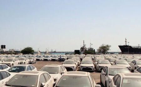 حذف آزمون‌های غیرضروری در ترخیص خودروهای برقی