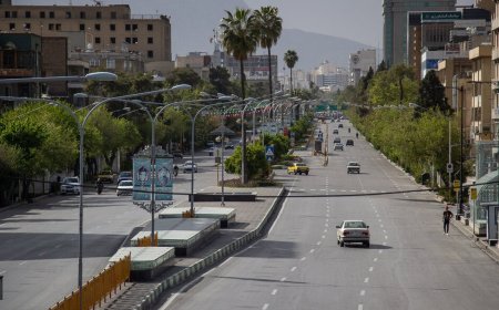فعالیت ۵۰۰۰ مطب پزشک تنها در یک خیابان در شیراز