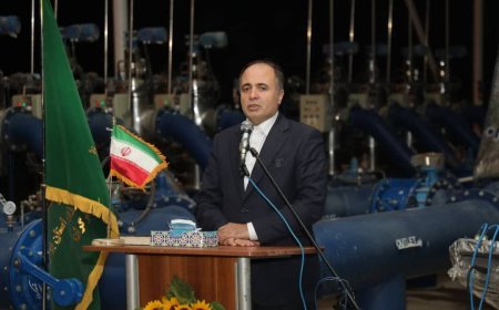 وزیر جهاد کشاورزی: اصلاح نشدن الگوی مصرف آب، امنیت غذایی را با خطر مواجه می‌کند
