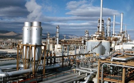معاون وزیر نفت در بوشهر: سیاست دولت کاهش خام فروشی است