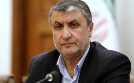 معاون رئیس جمهور در بوشهر: دولت امور استان ها را براساس اولویت دنبال می‌کند
