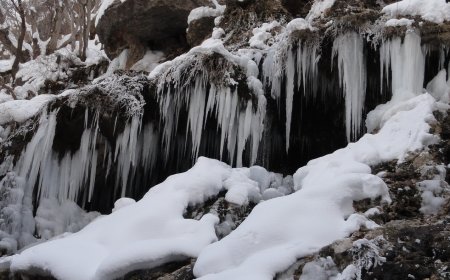 بارش شدید برف بامداد پنجشنبه ۲۵ بهمن ۱۴۰۳ / روستای مارگون سپیدان