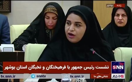 نماینده بنیاد نخبگان بوشهر: آقای رئیس جمهور اگر رفتن ما را سرزنش می‌کنید پس چرا ما اینجا در وطن خودمان انقدر غریبه‌ایم؟