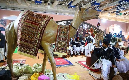 نمایشگاه بین المللی گردشگری دستاوردهای خوبی در جذب سرمایه گذار برای دزفول داشت