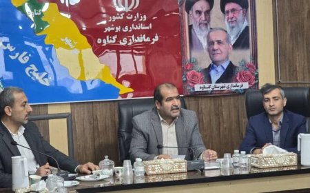 عاملان عرضه اقلام تنظیم بازار در گناوه افزایش یابند