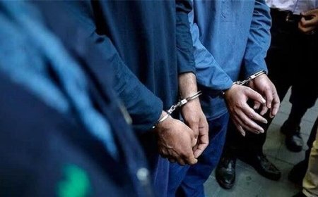 متهمان قتل دانشجوی دانشگاه تهران دستگیر شدند