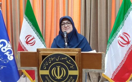 مهاجرانی در عسلویه: دولت یک‌دست است/در شرایط فشار حداکثری، مذاکره معنا ندارد/دولت از افزایش نرخ دلار دفاع نمی‌کند