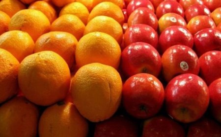 ذخیره کالاهای اساسی در کهگیلویه و بویراحمد برای ماه رمضان و نوروز