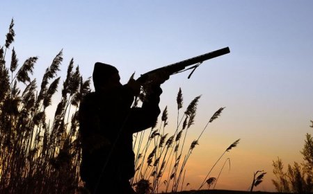درگیری مسلحانه شکارچیان با محیط بانان در منطقه حفاظت شده خاییز