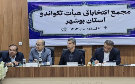 هادی ساعی در بوشهر: همدلی در فدراسیون تکواندو یک شعار نیست