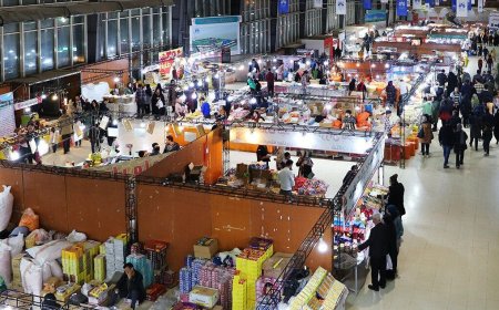 طرح راه‌اندازی بازار روز دائمی در بوشهر کلید خورد