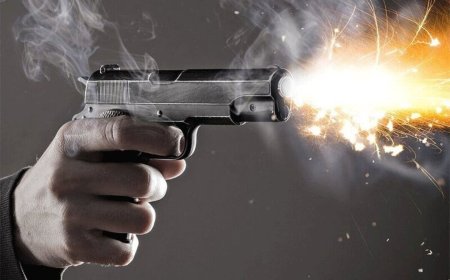 عاملان تیراندازی در استهبان فارس دستگیر شدند