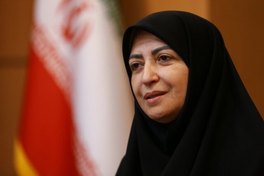 شینا انصاری : گزارشی از وضعیت محیط‌زیستی عسلویه به رییس‌جمهوری ارائه می‌دهیم