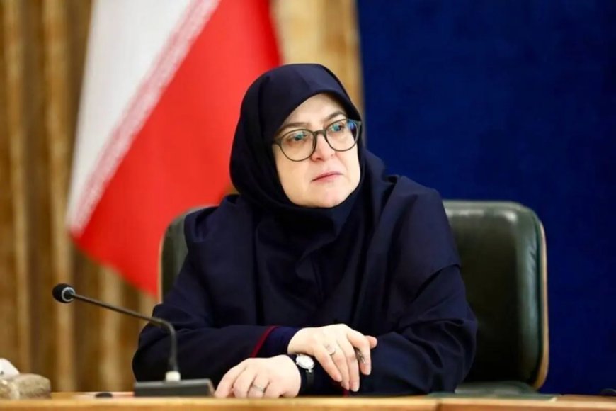مهاجرانی در بوشهر: سالهاست با ناترازی مواجهیم/ دولت چهاردهم شجاعت بیان مشکلات را دارد