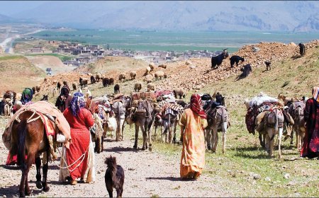 زمان کوچ عشایر استان کهگیلویه و بویراحمد اعلام شد